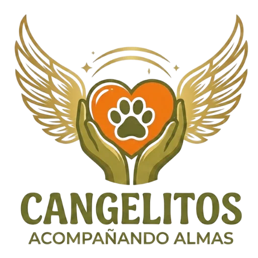 Logo Acompañando Almas